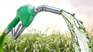 Estudo mostra que o Brasil pode diminuir a poluição mesmo sem carros elétricos